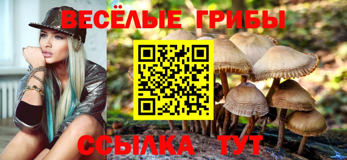 Галлюциногенные грибы ЛСД Асино