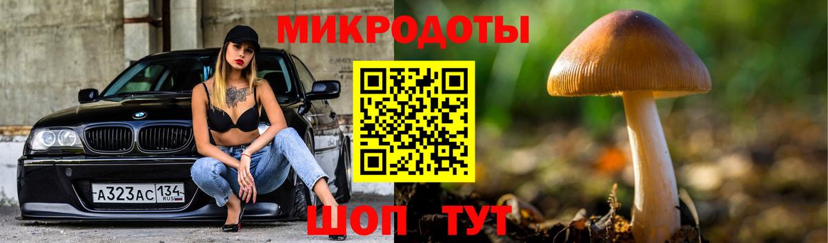 Асино  Галлюциногенные грибы Psilocybe  Вход с VPN 